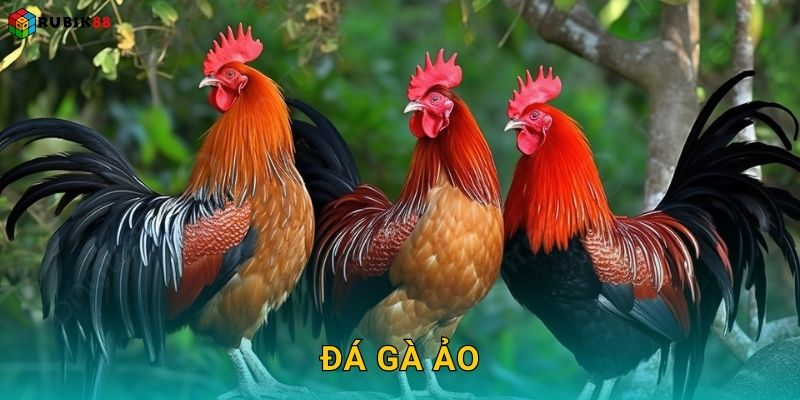 Đá gà ảo – Trải nghiệm tốc độ không giới hạn tại Rubik88 10 Đá gà ảo – Trải nghiệm tốc độ không giới hạn tại Rubik88